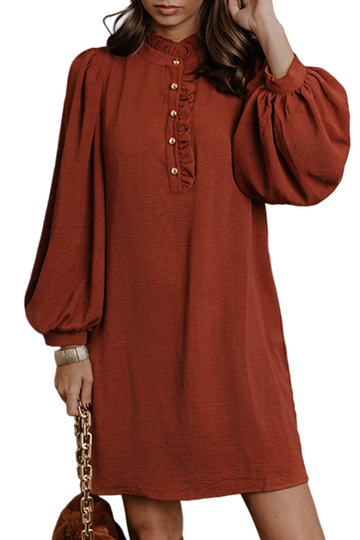 Coffee Solid Shift Long Sleeve Short Length One Piece Dress